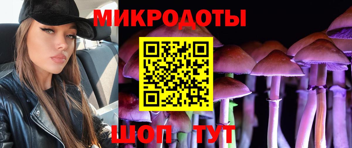 Галлюциногенные грибы мухоморы Ярославль
